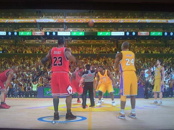 BULLS (204)