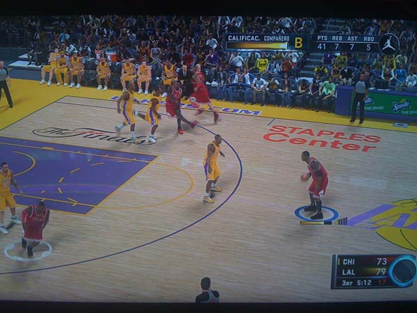 BULLS (219)