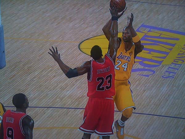 BULLS (226)