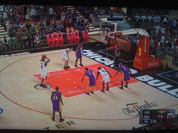 BULLS (246)