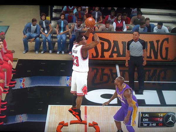 BULLS (247)