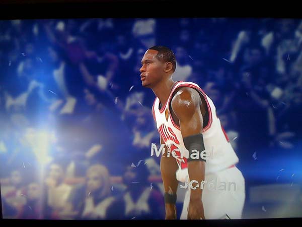 BULLS (255)