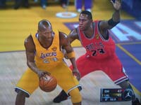 BULLS (176)