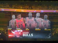 BULLS (200)