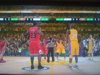 BULLS (204)