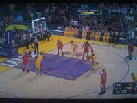 BULLS (207)