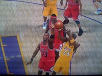 BULLS (209)