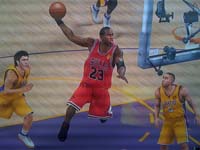 BULLS (212)