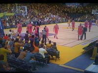 BULLS (213)
