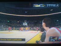 BULLS (221)