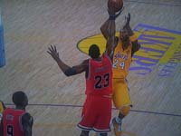 BULLS (226)