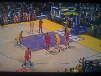 BULLS (230)