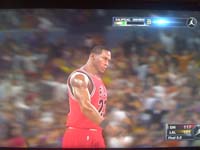 BULLS (231)