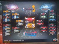 BULLS (236)