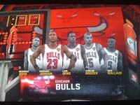 BULLS (241)