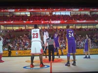 BULLS (244)