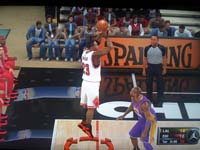 BULLS (247)