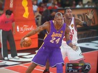 BULLS (249)