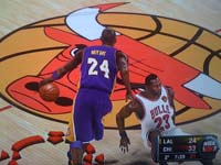 BULLS (250)