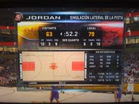 BULLS (263)