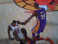 BULLS (265)