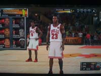 BULLS (266)