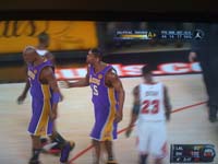 BULLS (267)