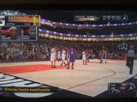 BULLS (268)
