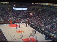 BULLS (270)