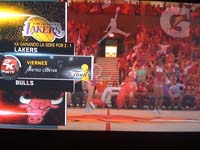 BULLS (279)