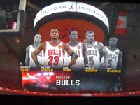 BULLS (281)