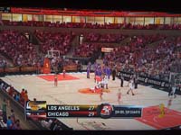 BULLS (287)