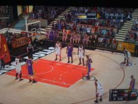 BULLS (288)
