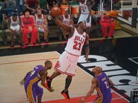 BULLS (289)