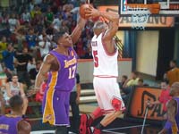 BULLS (291)