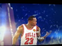 BULLS (294)
