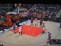 BULLS (299)