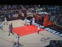 BULLS (302)