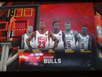 BULLS (314)
