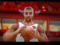BULLS (315)