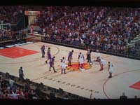 BULLS (317)