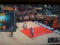 BULLS (333)