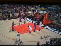 BULLS (335)