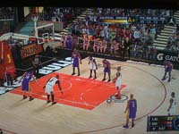 BULLS (336)