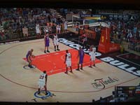 BULLS (337)