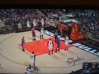BULLS (338)