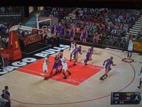 BULLS (339)