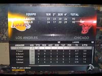 BULLS (343)