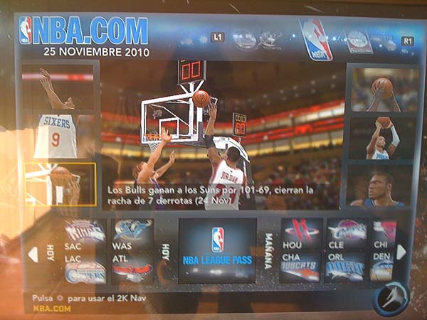 BULLS (08)