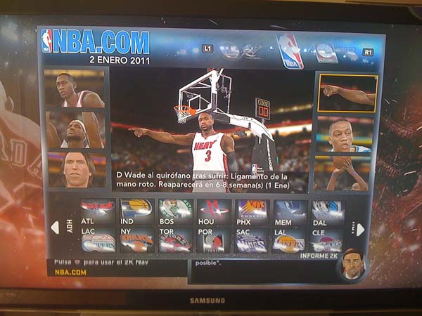 BULLS (31)